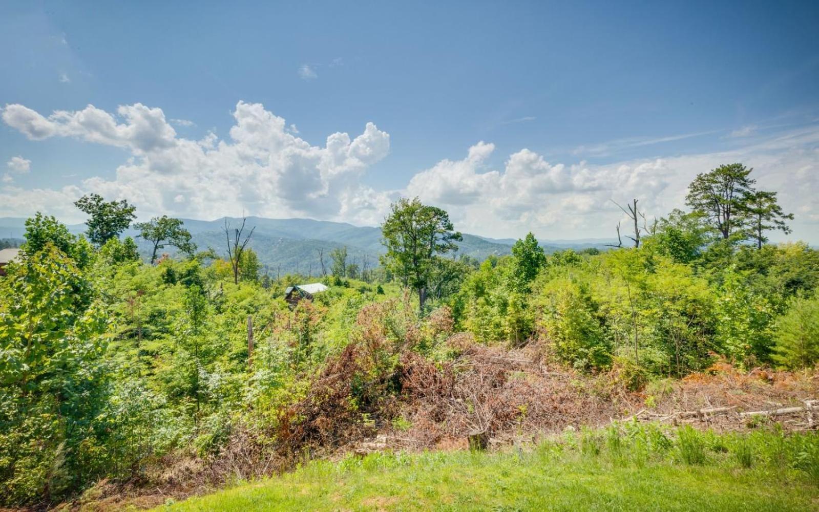 Lifes A Bear Gatlinburg Exterior foto