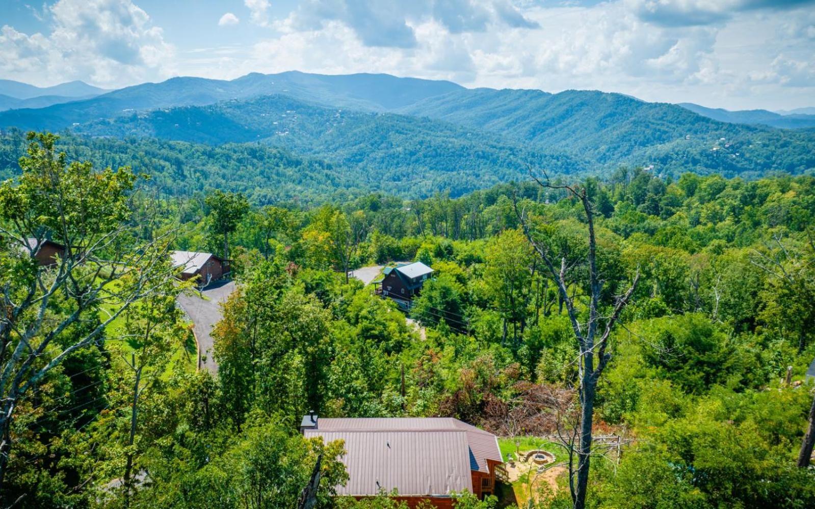 Lifes A Bear Gatlinburg Exterior foto